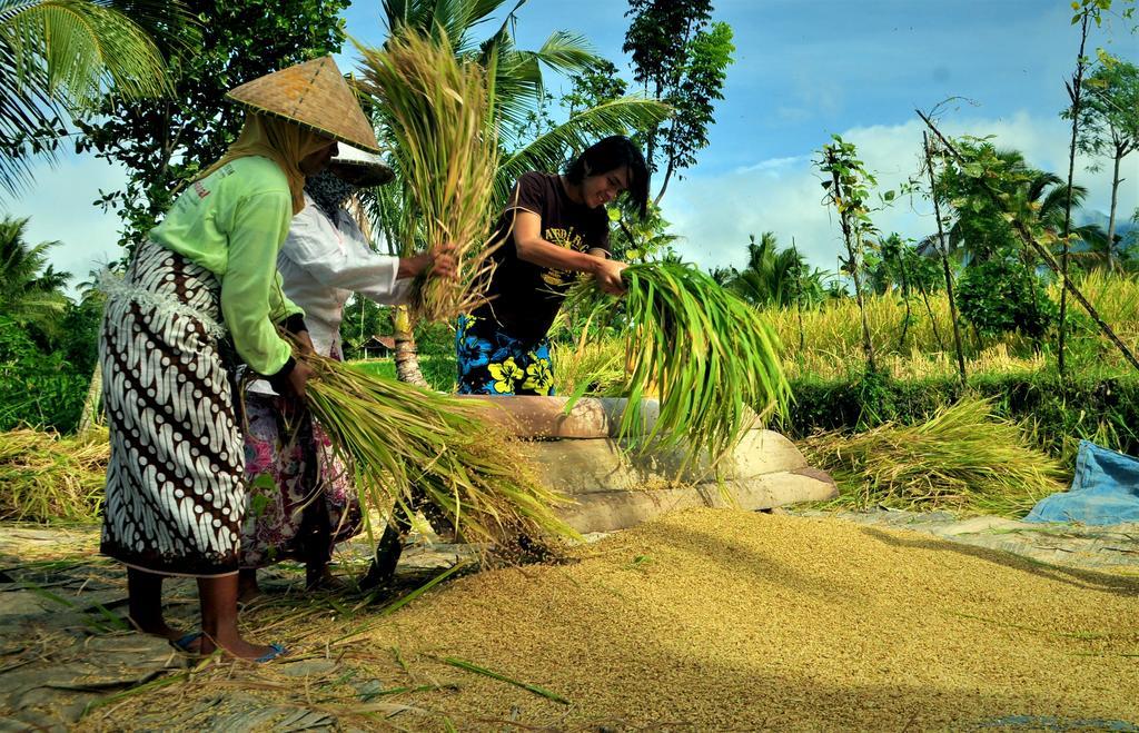 Kembang Kuning Cottages Tetebatu Esterno foto